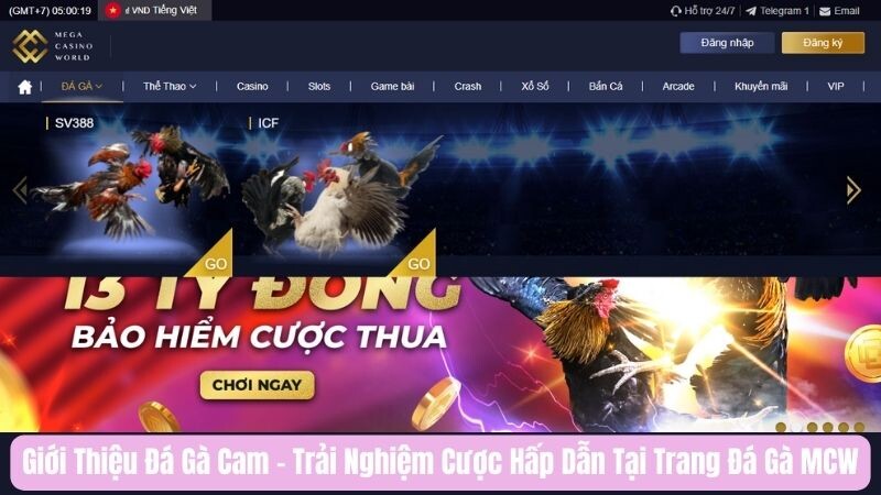 Tổng quan về đá gà Cam tại MCW