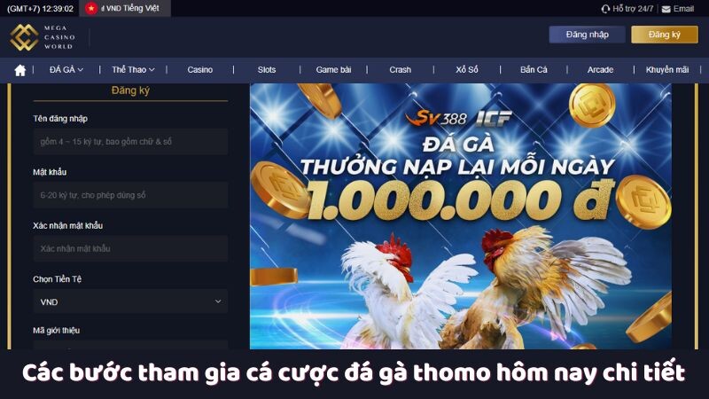 Các bước tham gia cá cược đá gà thomo hôm nay chi tiết