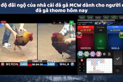 Đá Gà Thomo Hôm Nay – Top 1 Tựa Game Cá Cược Trực Tuyến Hấp Dẫn