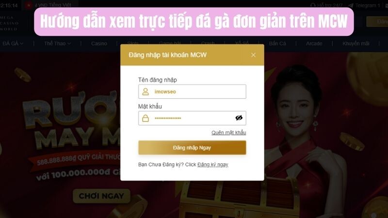 Hướng dẫn xem trực tiếp đá gà đơn giản trên MCW