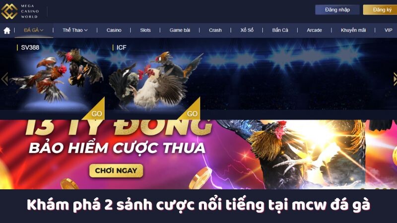 Khám phá 2 sảnh cược nổi tiếng tại mcw đá gà